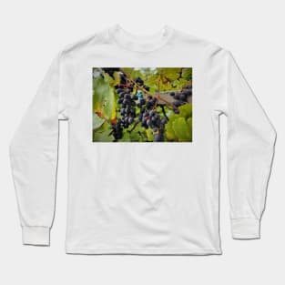 grapes Long Sleeve T-Shirt